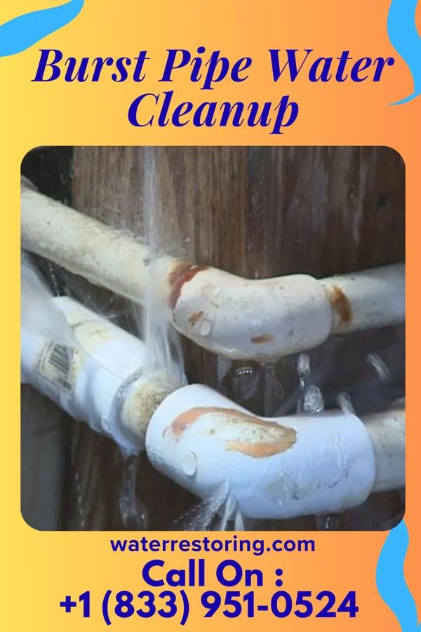 Burst Pipe Water Cleanup in Johnson City, KS