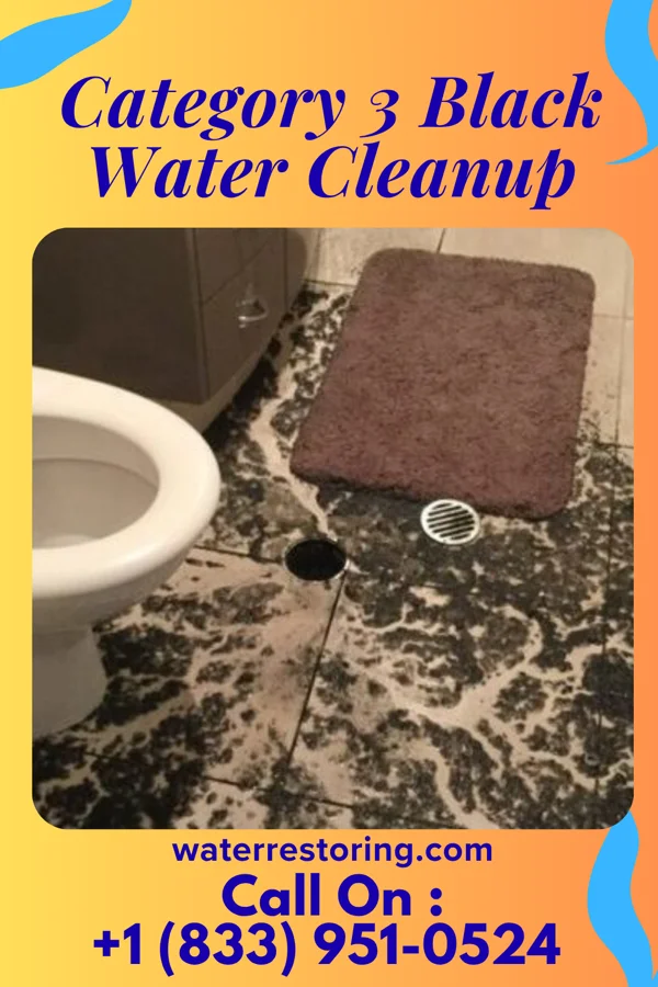 Category 3 Black Water Cleanup in Johnson City, KS