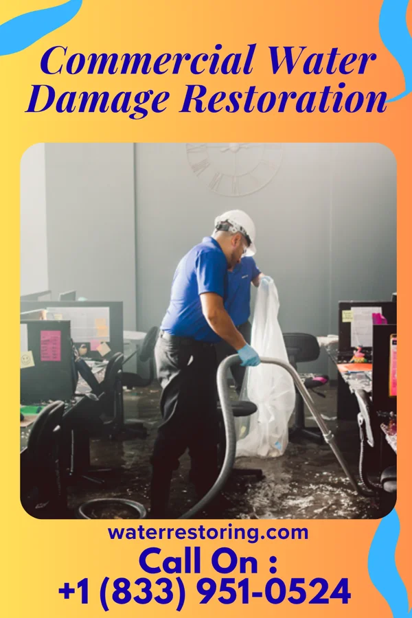 Commercial Water Damage Restoration in Johnson City, KS